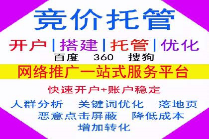 深入剖析SEM公司成功案例：数据驱动的广告策略
